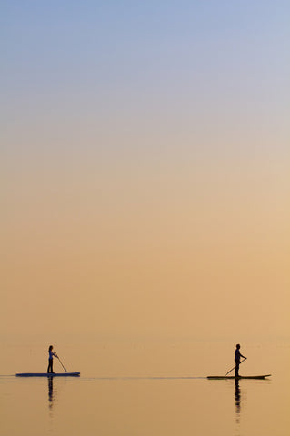 Companions - Wall Art - By Peter Krenek- Gallery Art Company