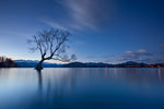 Wanaka Twilight - Wall Art - By Yan Zhang- Gallery Art Company