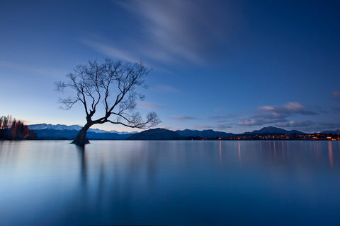 Wanaka Twilight - Wall Art - By Yan Zhang- Gallery Art Company