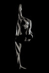 Needle 2 - Wall Art - By Howard Ashton-Jones- Gallery Art Company