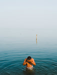 Morning dive - Wall Art - By Kristian Leven- Gallery Art Company