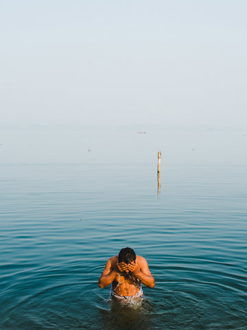 Morning dive - Wall Art - By Kristian Leven- Gallery Art Company