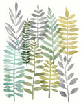 Watercolor Botany II - Wall Art - By Megan Meagher- Gallery Art Company