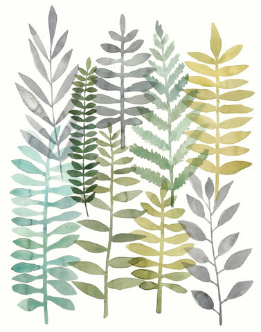 Watercolor Botany II - Wall Art - By Megan Meagher- Gallery Art Company