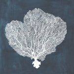 Inverse Sea Fan I - Wall Art - By Grace Popp- Gallery Art Company