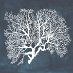 Inverse Sea Fan III - Wall Art - By Grace Popp- Gallery Art Company