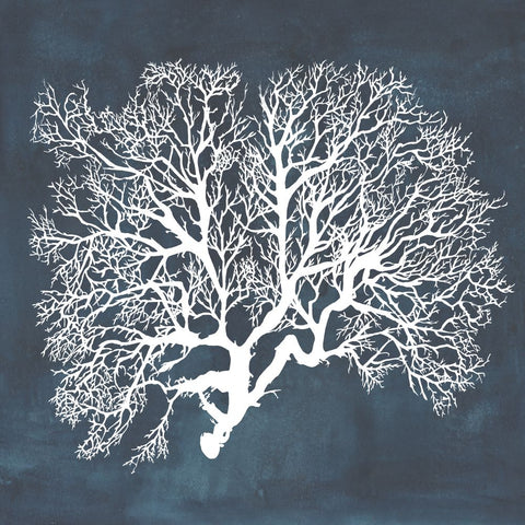 Inverse Sea Fan III - Wall Art - By Grace Popp- Gallery Art Company