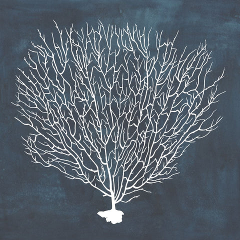 Inverse Sea Fan IV - Wall Art - By Grace Popp- Gallery Art Company