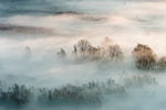 Winter fog - Wall Art - By Marco Galimberti- Gallery Art Company