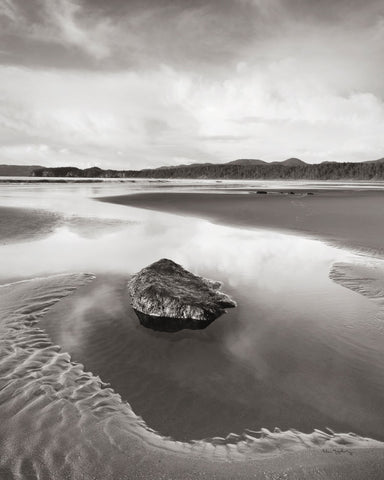 Shi Shi Beach Low Tide I - Wall Art - By Alan Majchrowicz- Gallery Art Company