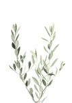 Olive - Wall Art - By SISI & SEB ART- Gallery Art Company