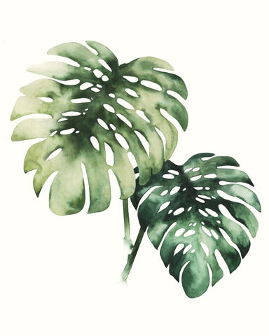 Tropical Plant II - Wall Art - By Grace Popp- Gallery Art Company