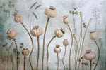 Papaver - Wall Art - By Mandy Disher- Gallery Art Company