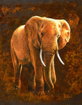 Elephant 01 - Wall Art - By Jean-Marc Chamard- Gallery Art Company