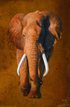 Elephant 03 - Wall Art - By Jean-Marc Chamard- Gallery Art Company