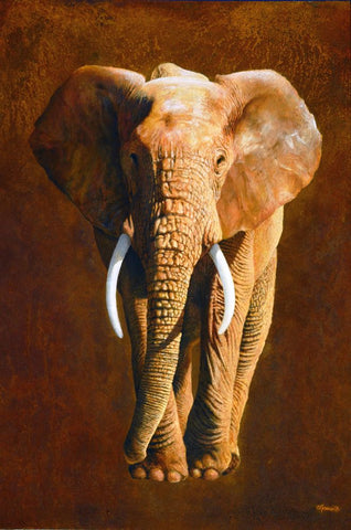 Elephant 04 - Wall Art - By Jean-Marc Chamard- Gallery Art Company