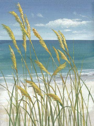 Summer Breeze I - Wall Art - By Tim O'Toole- Gallery Art Company