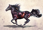 Black Beauty - Wall Art - By Michael Tarin- Gallery Art Company