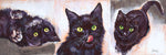 Black Cats Classic - Wall Art - By Michael Tarin- Gallery Art Company