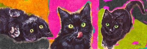 Black Cats Pop - Wall Art - By Michael Tarin- Gallery Art Company