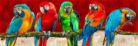 Parrot Art Red - Wall Art - By Michael Tarin- Gallery Art Company