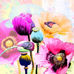 Summer Poppies - Wall Art - By Michael Tarin- Gallery Art Company