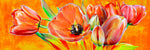 Tulips - Wall Art - By Michael Tarin- Gallery Art Company