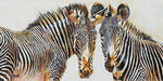 Zebras - Wall Art - By Michael Tarin- Gallery Art Company