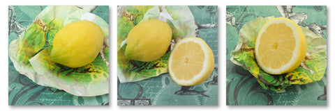 Citrus - Wall Art - By Michael Tarin- Gallery Art Company