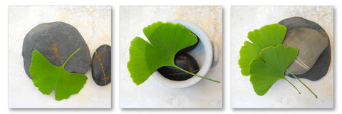 Gingko - Wall Art - By Michael Tarin- Gallery Art Company