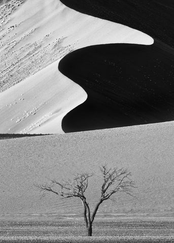 Dune Curves - Wall Art - By Ali Khataw- Gallery Art Company