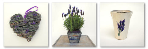 Lavender Love - Wall Art - By Michael Tarin- Gallery Art Company