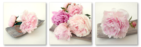 Peonies - Wall Art - By Michael Tarin- Gallery Art Company