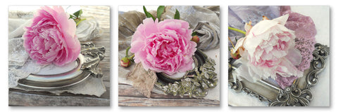 Peonies Vintage - Wall Art - By Michael Tarin- Gallery Art Company