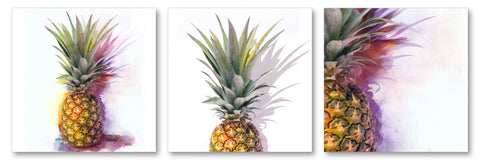 Pineapple Tri I - Wall Art - By Michael Tarin- Gallery Art Company