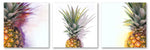 Pineapple Tri I - Wall Art - By Michael Tarin- Gallery Art Company