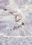 Bottle & Seagull - Wall Art - By Babette- Gallery Art Company