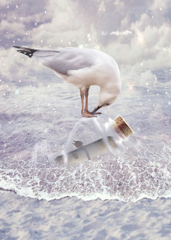 Bottle & Seagull - Wall Art - By Babette- Gallery Art Company