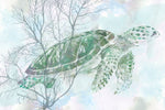 Watercolor Sea Turtle I - Wall Art - By Studio W- Gallery Art Company