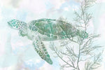 Watercolor Sea Turtle II - Wall Art - By Studio W- Gallery Art Company