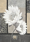 White Waterlily - Wall Art - By Claudia Ancilotti- Gallery Art Company