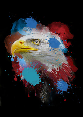 Eagle - Wall Art - By Henk van Gog- Gallery Art Company