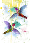 Kolibri - Wall Art - By Henk van Gog- Gallery Art Company