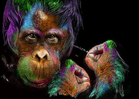 Monkey - Wall Art - By Henk van Gog- Gallery Art Company