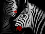 Zebra Love - Wall Art - By Babette- Gallery Art Company