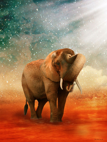 The Elephant Ricardo 5 - Wall Art - By Babette- Gallery Art Company