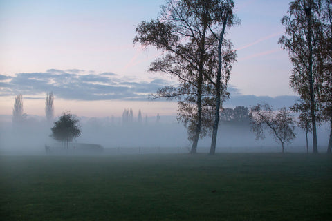 Foggy Morning I - Wall Art - By Dick Carlier- Gallery Art Company