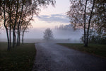 Foggy Morning II - Wall Art - By Dick Carlier- Gallery Art Company