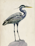 Blue Heron Rendering I - Wall Art - By Melissa Wang- Gallery Art Company