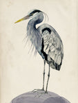 Blue Heron Rendering II - Wall Art - By Melissa Wang- Gallery Art Company